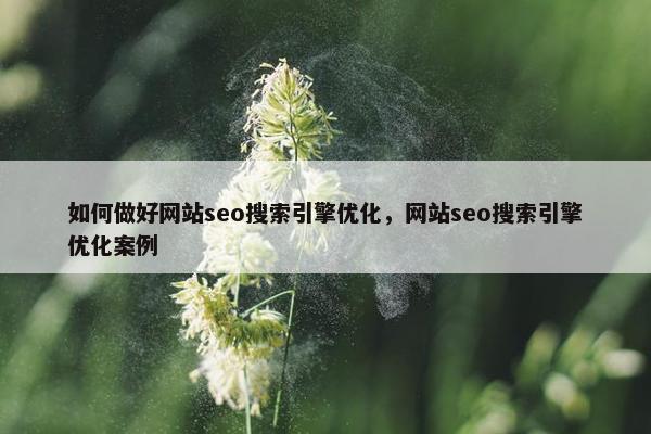 如何做好网站seo搜索引擎优化，网站seo搜索引擎优化案例