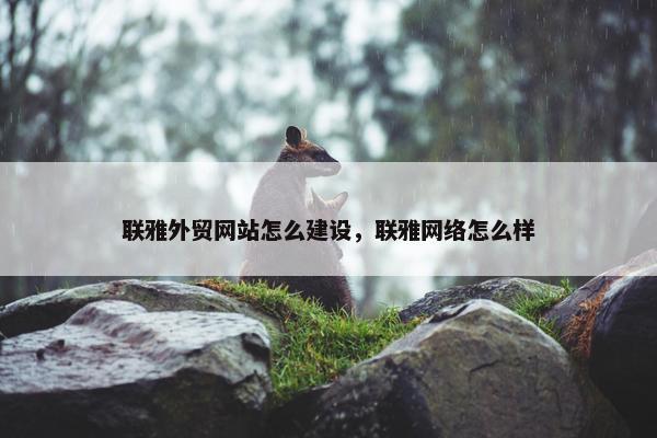 联雅外贸网站怎么建设，联雅网络怎么样