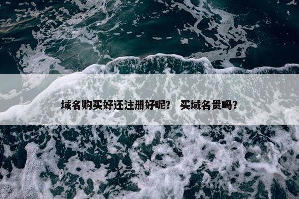 域名购买好还注册好呢？ 买域名贵吗？