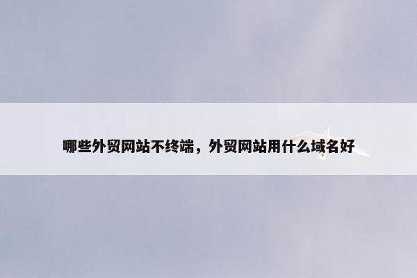 哪些外贸网站不终端，外贸网站用什么域名好