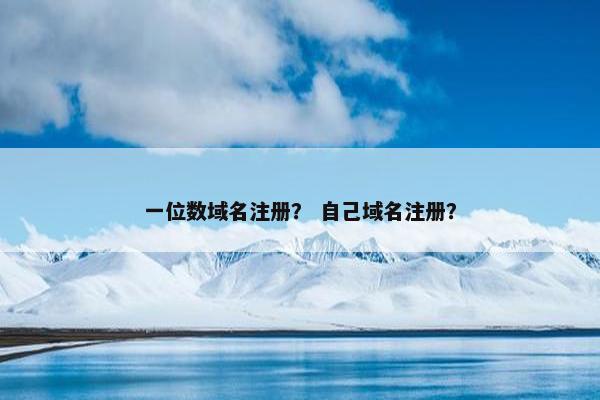 一位数域名注册？ 自己域名注册？
