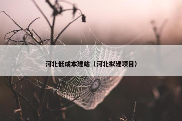河北低成本建站（河北拟建项目）