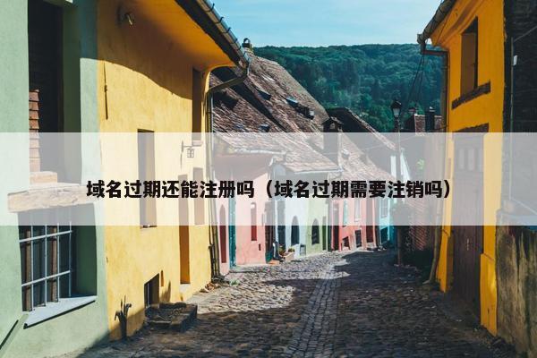 域名过期还能注册吗（域名过期需要注销吗）