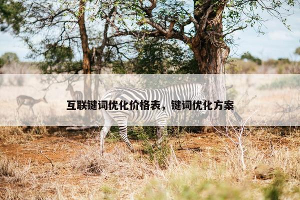 互联键词优化价格表，键词优化方案