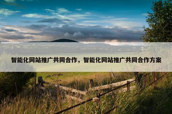 智能化网站推广共同合作，智能化网站推广共同合作方案