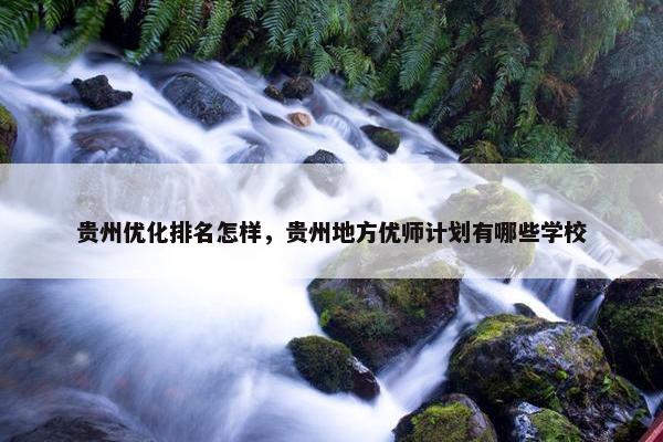 贵州优化排名怎样，贵州地方优师计划有哪些学校