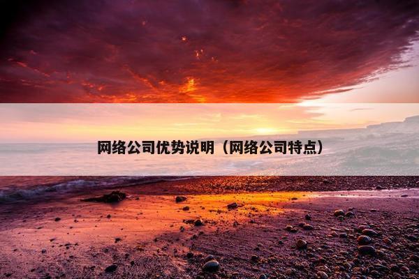 网络公司优势说明（网络公司特点）