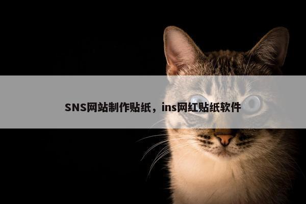 SNS网站制作贴纸，ins网红贴纸软件