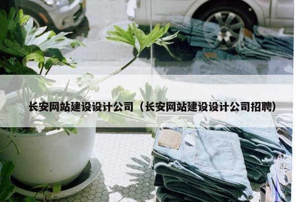 长安网站建设设计公司（长安网站建设设计公司招聘）