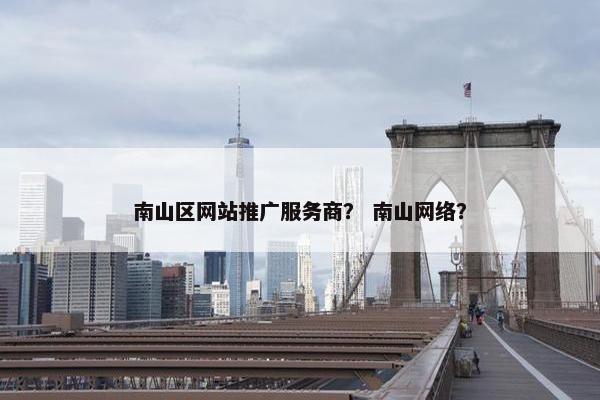 南山区网站推广服务商？ 南山网络？