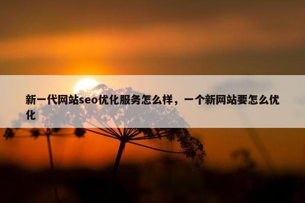 新一代网站seo优化服务怎么样，一个新网站要怎么优化