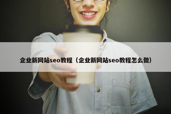 企业新网站seo教程（企业新网站seo教程怎么做）