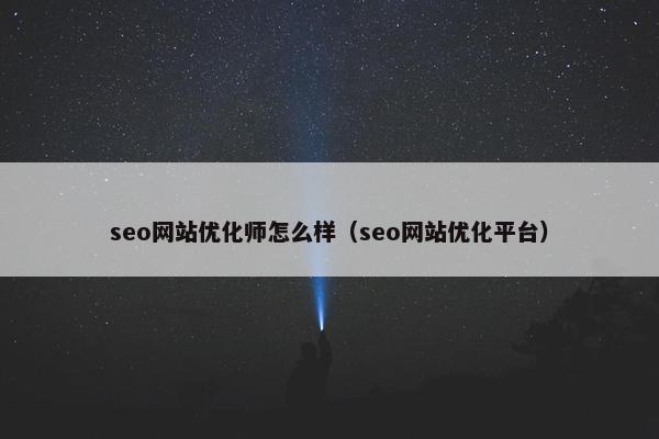 seo网站优化师怎么样（seo网站优化平台）