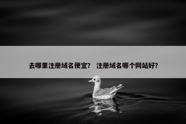去哪里注册域名便宜？ 注册域名哪个网站好？