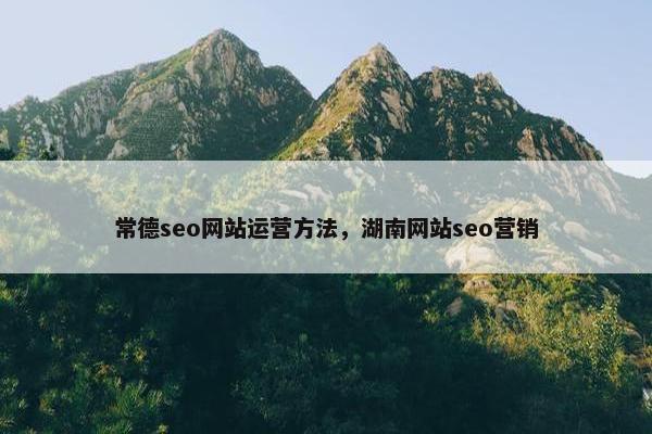 常德seo网站运营方法，湖南网站seo营销