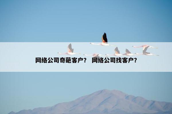 网络公司奇葩客户？ 网络公司找客户？