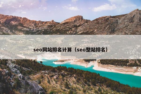 seo网站排名计算（seo整站排名）