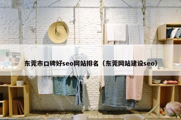 东莞市口碑好seo网站排名（东莞网站建设seo）