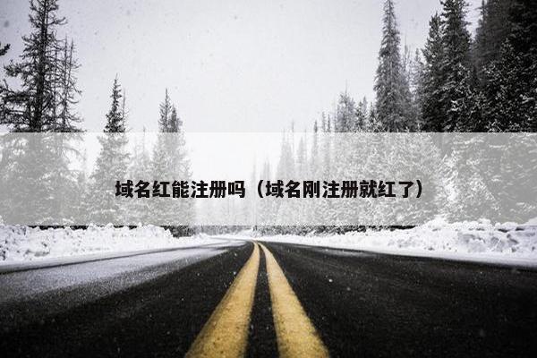 域名红能注册吗（域名刚注册就红了）