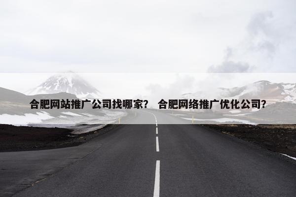 合肥网站推广公司找哪家？ 合肥网络推广优化公司？