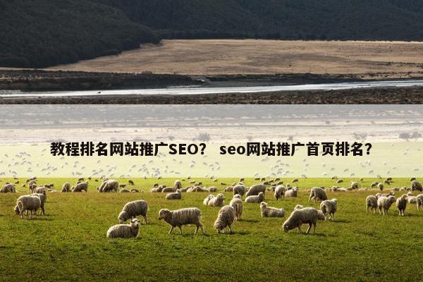 教程排名网站推广SEO？ seo网站推广首页排名？