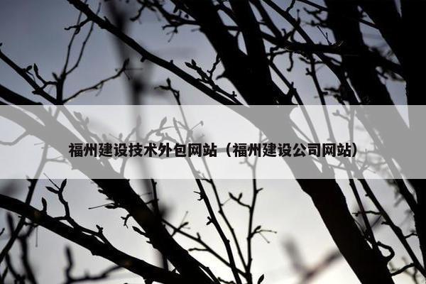 福州建设技术外包网站（福州建设公司网站）
