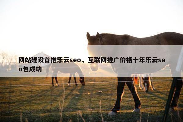 网站建设首推乐云seo，互联网推广价格十年乐云seo包成功