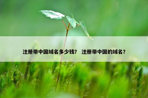 注册带中国域名多少钱？ 注册带中国的域名？