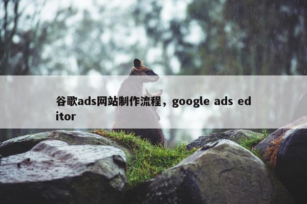 谷歌ads网站制作流程，google ads editor