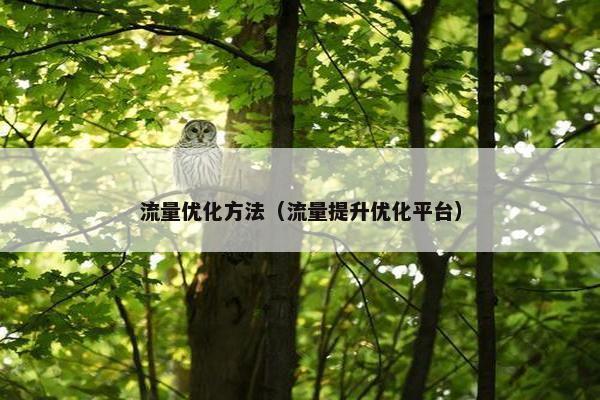 流量优化方法（流量提升优化平台）