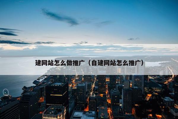 建网站怎么做推广（自建网站怎么推广）