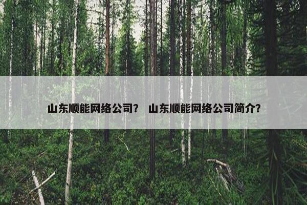 山东顺能网络公司？ 山东顺能网络公司简介？