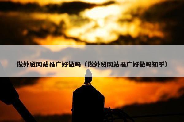 做外贸网站推广好做吗（做外贸网站推广好做吗知乎）