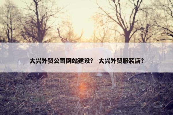 大兴外贸公司网站建设？ 大兴外贸服装店？