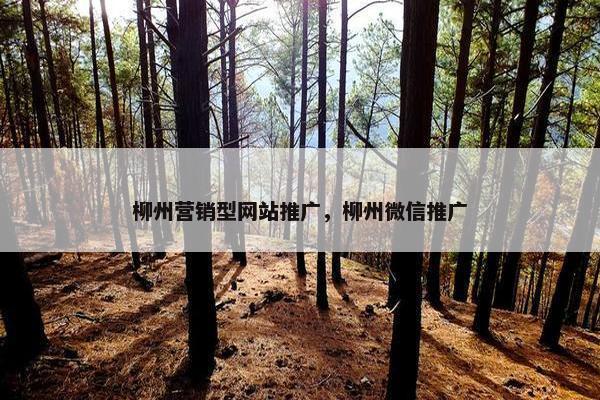 柳州营销型网站推广，柳州微信推广