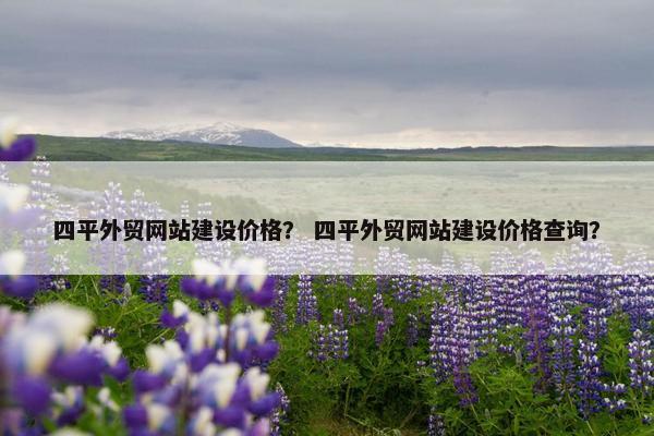 四平外贸网站建设价格？ 四平外贸网站建设价格查询？