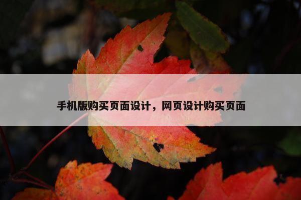 手机版购买页面设计，网页设计购买页面