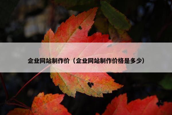 企业网站制作价（企业网站制作价格是多少）