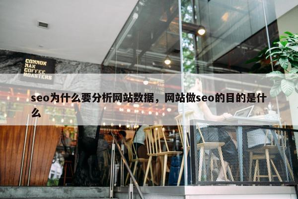 seo为什么要分析网站数据，网站做seo的目的是什么