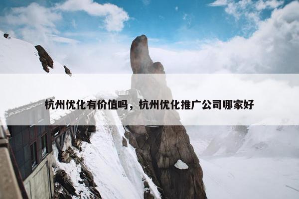 杭州优化有价值吗，杭州优化推广公司哪家好