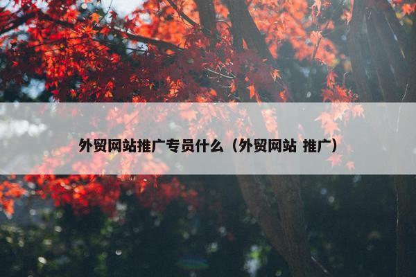 外贸网站推广专员什么（外贸网站 推广）