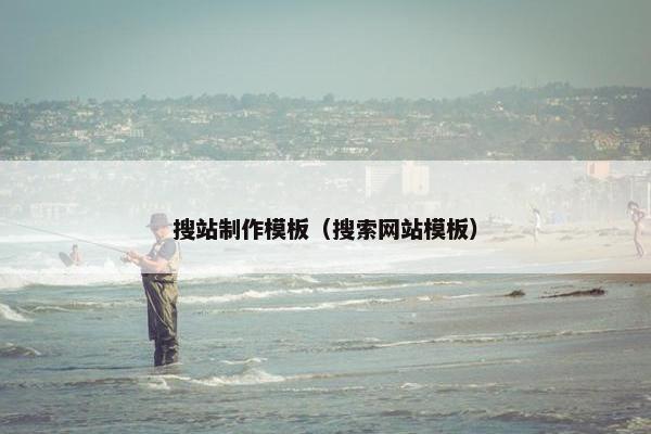 搜站制作模板（搜索网站模板）