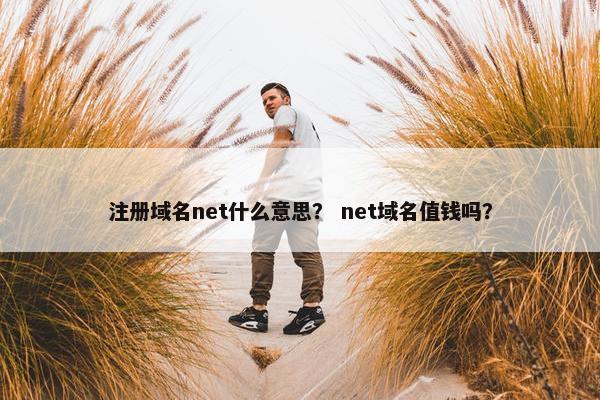 注册域名net什么意思？ net域名值钱吗？