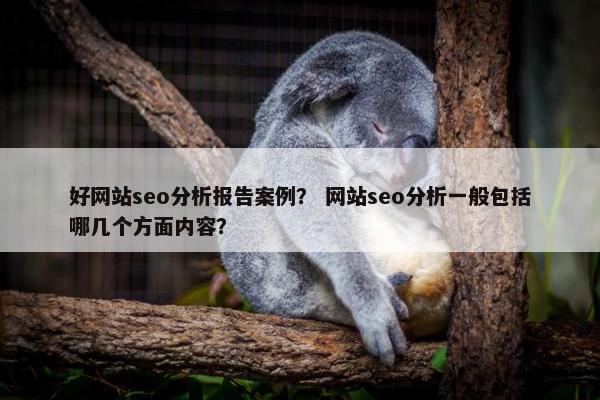 好网站seo分析报告案例？ 网站seo分析一般包括哪几个方面内容？