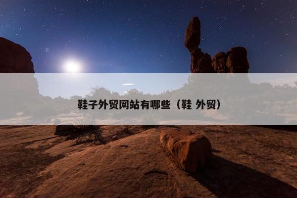 鞋子外贸网站有哪些（鞋 外贸）