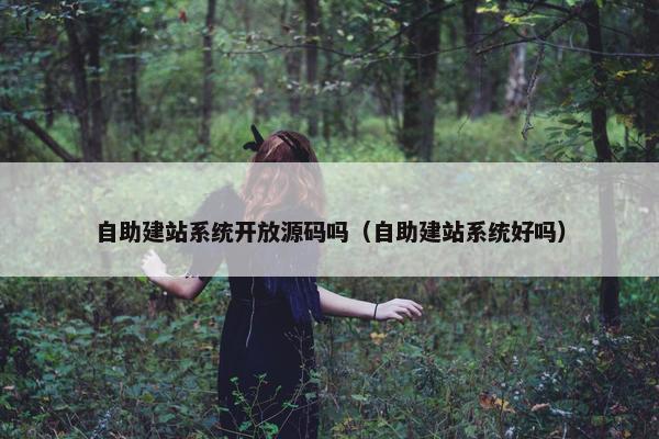 自助建站系统开放源码吗（自助建站系统好吗）