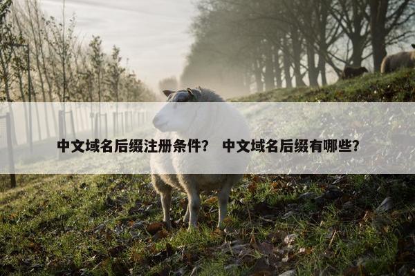 中文域名后缀注册条件？ 中文域名后缀有哪些？