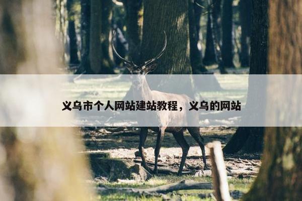 义乌市个人网站建站教程，义乌的网站