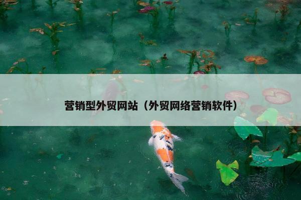 营销型外贸网站（外贸网络营销软件）