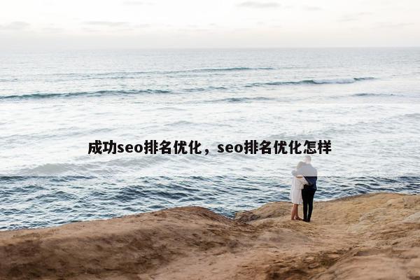 成功seo排名优化，seo排名优化怎样